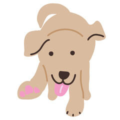 Running golden retriever