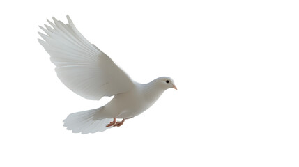 White Dove in Flight Graceful Wings Soaring Peace Symbol Beautiful Bird Purity Hope Freedom Spiritual Animal Elegant    