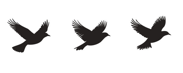 Obraz premium Flat bird silhouette icons set - vector art of flying birds.