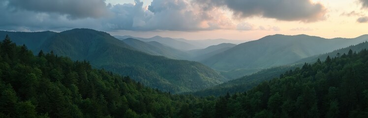 Naklejka premium Wide aerial panorama of mountain hills covered with green pine and lush forest. Mystical dark evening scenery. Wooded slopes, dense vegetation, treetop canopy, cloudy sky, mysterious nature landscape.