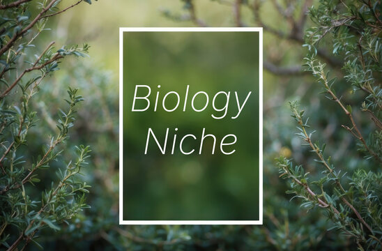 Biology Niche text words inscription on green eco background
