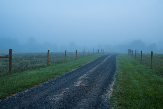 Country Road with Wooden Fence Post in the Fog