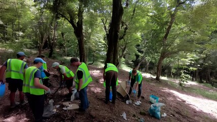 Volunteers cleaning up litter in a forest.
