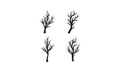 tree branches without black leaves