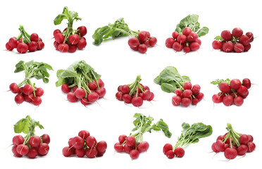Many fresh radishes isolated on white, set