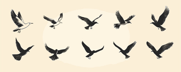 Naklejka premium Flat vector bird silhouettes icons set – flying birds illustration.