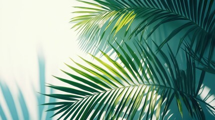 Lush green palm leaves create a vibrant tropical ambiance, casting intricate shadows against a light backdrop.