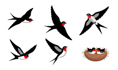 A collection of vector illustrations of swallows in flight and in a nest. The birds are depicted in various dynamic poses with black, white, and red coloring. Perfect for nature-themed designs, birdwa