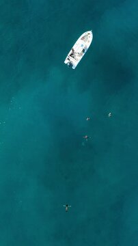 Aerial view of a boat in the blue ocean and people swim around in Hawaii top-down drone