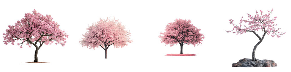 Cherry Blossom Tree PNG – Beautifully Blooming Pink Sakura Trees for Design & Decor – High-Quality Transparent Background