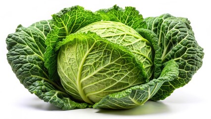 Fototapeta premium Savoy Cabbage on White Background