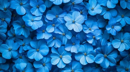 Seamless pattern of vibrant blue flowers, artistic and decorative, traditional and cheerful, symmetrical and bright, colorful and engaging, detailed and elegant