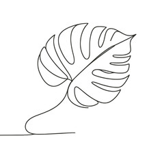 Line art illustration of a tropical leaf