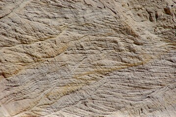 Rock texture close up