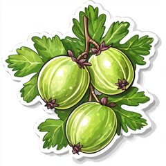 Three ripe gooseberries hang from a branch, surrounded by vibrant green leaves. A juicy summer treat!