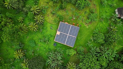 Aerial view from a house in the middle of green forest