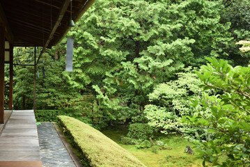 妙心寺塔頭　桂春院　真如の庭(京都市右京区)