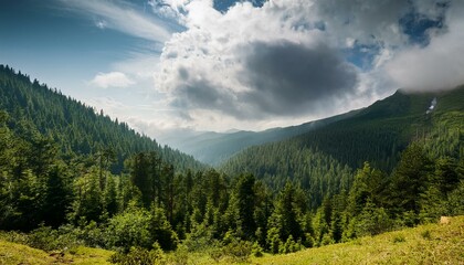 Fototapeta premium wide shot of forested slopes with a cloudy sky within the foundation at daytime