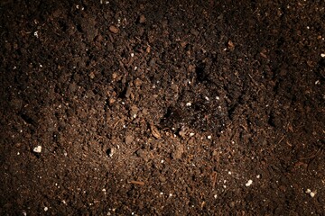 Texture of fresh soil as background, closeup