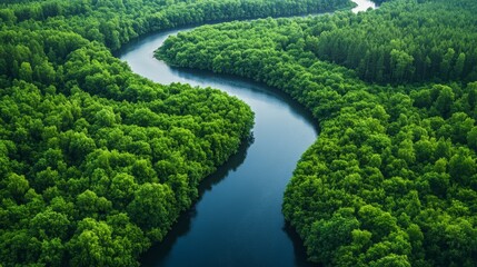 Aerial view of a green forest with a river in the middle, drone photography.