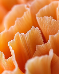Close-up of delicate orange flower petals in soft light