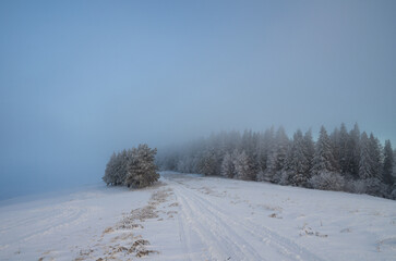 Misty Winter Path Through Snowy Fields