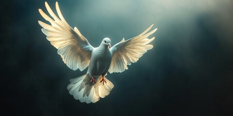 Majestic White Dove in Flight with Spread Wings in Radiant Light