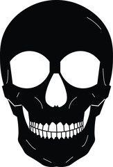 The Illustration of human head skeleton