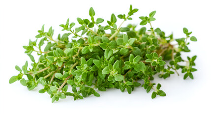bundle of fresh thyme on isolated white background.ai generative