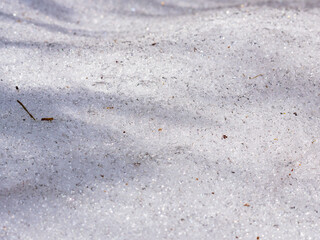 日差しに輝く残雪17