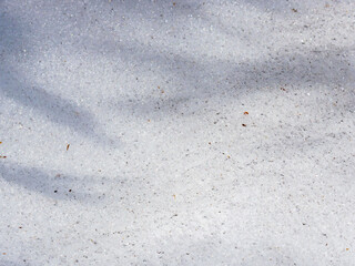 日差しに輝く残雪24