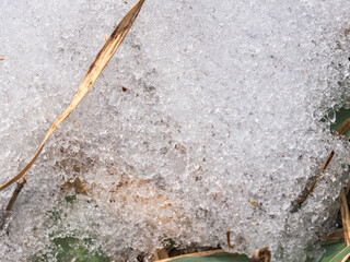 日差しに輝く草むらの残雪16