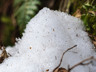 日差しに輝く草むらの残雪30