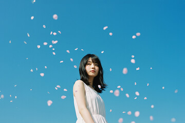 桜吹雪と女性、春、青空