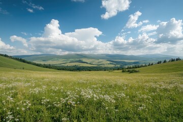 Fototapeta premium Blooming meadow embracing rolling hills under a cloudy sky