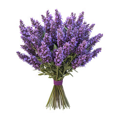 Fototapeta premium Fresh lavender bouquet with delicate purple flowers and soft green stems, botanical composition, isolated on transparent or white background, png