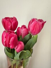 bouquet of pink tulips