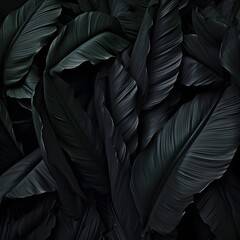 Fototapeta premium A close up of black leaves