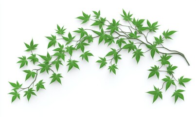 Green maple leaves arranged elegantly on a white background, ideal for nature-themed designs
