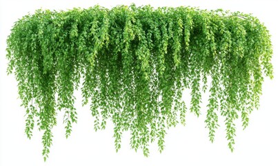 Lush green cascading foliage creating a vibrant natural display, perfect for interior decor