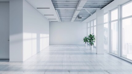 A large open room with a white wall and a plant in a vase