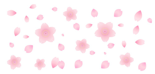 Spring cherry blossoms in full bloom, soft and cute frame background material, flowers, new life, New Year's card material, New Year, March, April, vector white background for kindergarten admission
