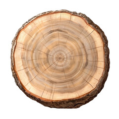 Fototapeta premium Natural Rustic Wooden Tree Stump Cut with Distinctive Rings