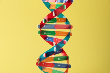 One DNA structure model on yellow background