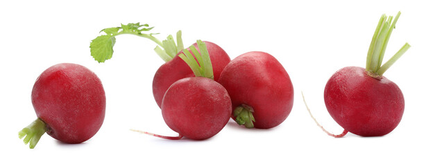 Many fresh radishes isolated on white, set