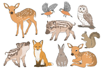 森の動物たちの手書きイラストセット