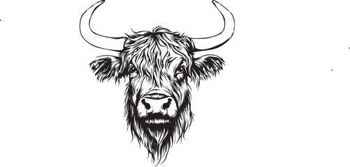 bull with horns