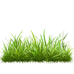 Fototapeta premium Lush Green Grass Spread Across a Vibrant Outdoor Landscape