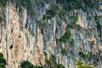 beautiful landscape in southern thailand 