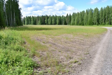 Obraz premium Landscape in summer with meadows, forest and trees beside a road